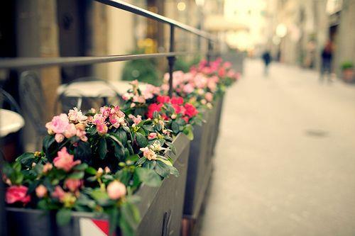 开心说说心情短语