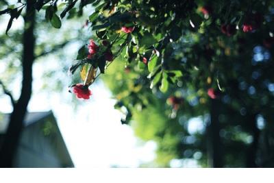 描写爱情美好的句子