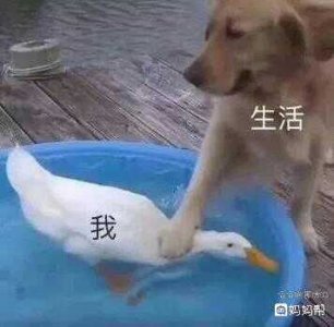 ​生活让我喘不过气句子 事情一件接一件,压的喘不过气的句子