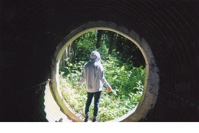 白敬亭语录经典语录励志