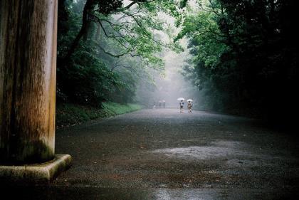人生爱情哲理的句子