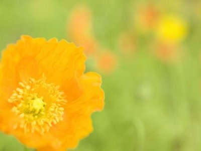 ​形容男人面对爱情无奈的句子