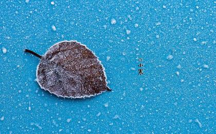 感谢孩子送的礼物心情