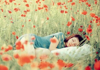 ​情人节表白的句子