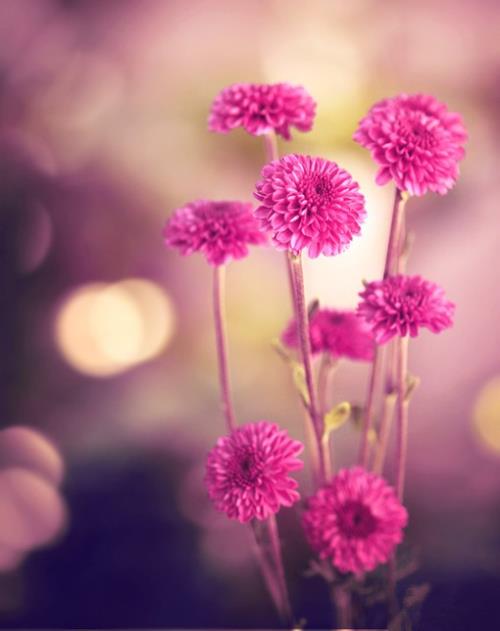 心情不好睡不着的说说