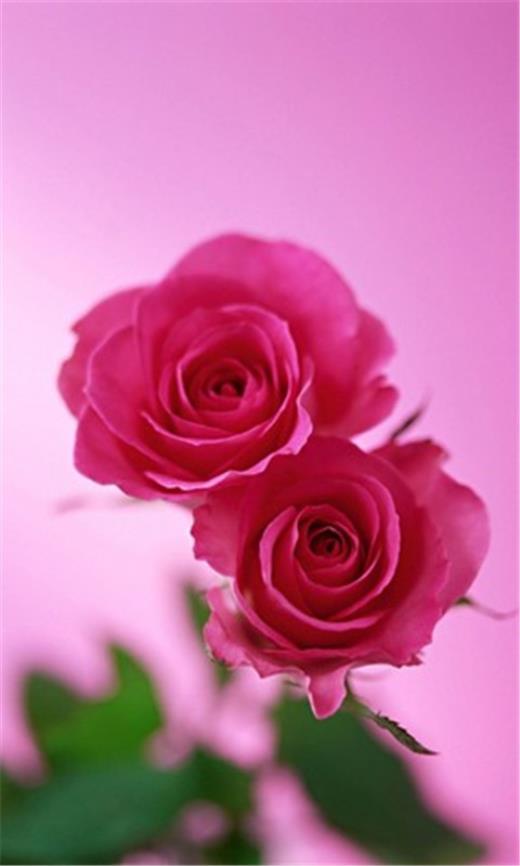 压力励志说说心情短语