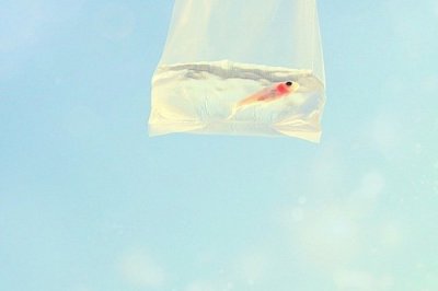 ​微商最爱的早安正能量语录(精选77句)