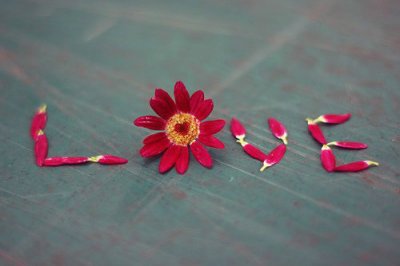 ​励志句子英语