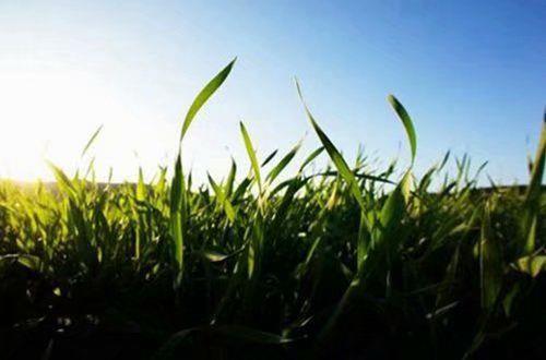 励志上进的句子