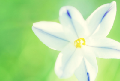 ​激励自己努力的文案 关于努力的励志文案99句