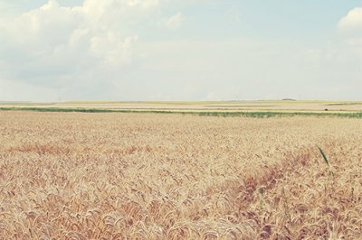 ​晚安奋斗非常励志的语录(精选80句)