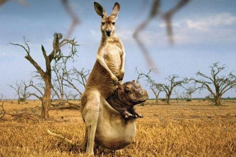 常用正能量励志语句摘录45条