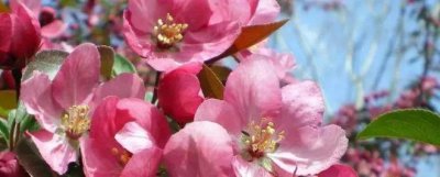 ​爱自己的情感语录（精辟的心情说说）