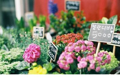 好心情的句子发朋友圈