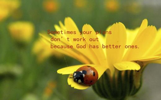 秋天好冷怎么发朋友圈