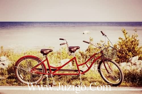 充满激情的励志语录充满阳光心态的句子(精选80句)