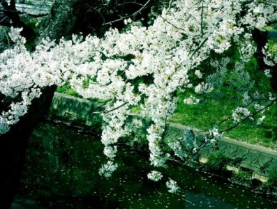 ​早安心情说说简单