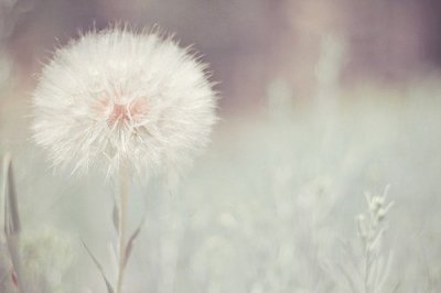 ​英语名言励志语126句