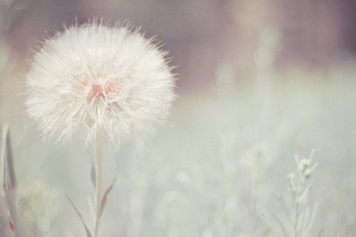 英语名言励志语126句