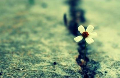 表达人内心痛苦的句子