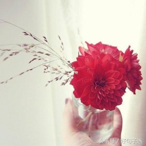 ​朋友圈很唯美的说说心情，句句走心，总有一句你会喜欢！