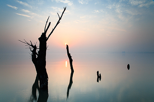 提升自己励志的句子 人生不断提升自己的句子(86句)