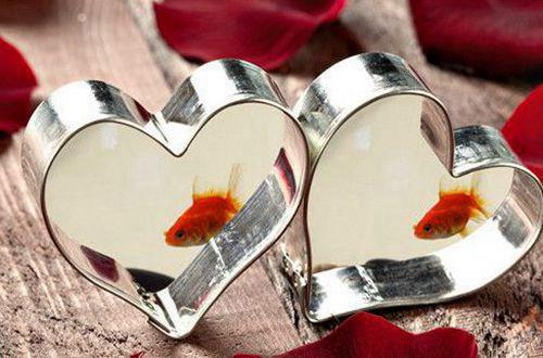 早上正能量励志句子