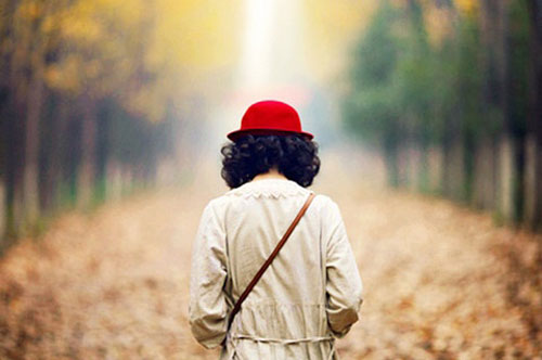 职来职往刘同语录12句