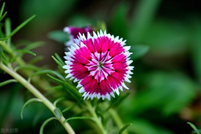 ​初夏唯美句子，描写5月的优美句子 文案