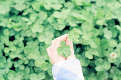 ​顾里的台词23句