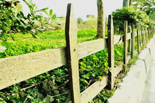 对老公很失望的心情