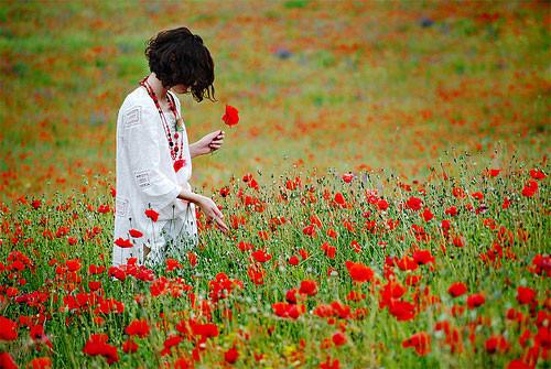 最幽默的表白方式
