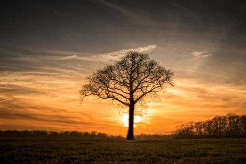 2015最励志的个性签名