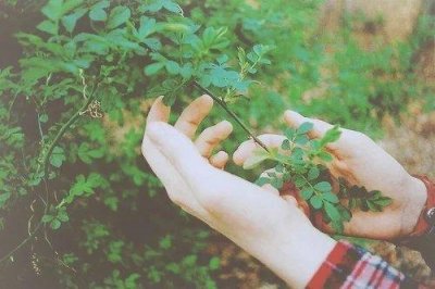 ​感悟人生的正能量励志语录