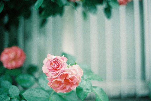 篮球励志语录57句