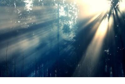 最触动人心的句子