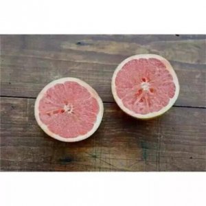 ​早安语录正能量的句子[40条] (早安语正能量经典短句)