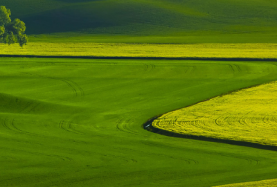 ​简单一句话表达我喜欢你 暗示喜欢对方的句子