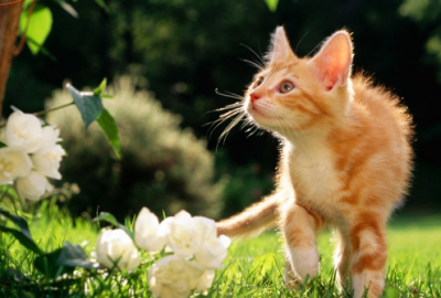 ​新年告别过去的说说 女人励志说说致自己