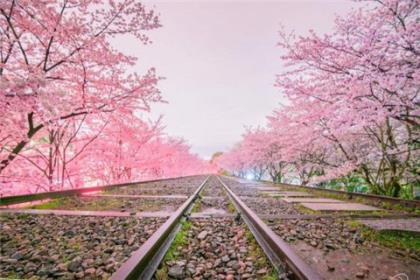 励志短句致自己奋斗