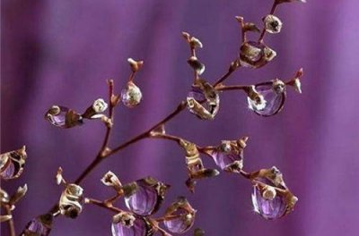 ​抒发忧伤心情的句子