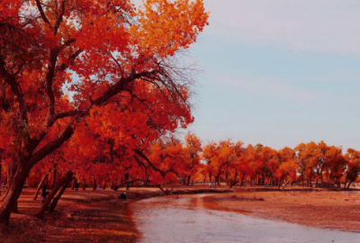 ​突然离职的说说，表示心情压抑沉重的句子