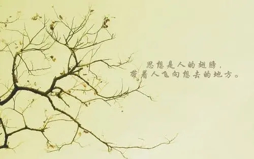 适合小学生励志寄语