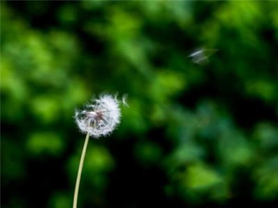 ​温暖治愈系正能量文字 小清新治愈系文字