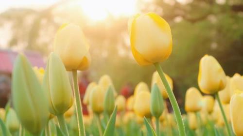 十分霸气侧漏的高三励志语