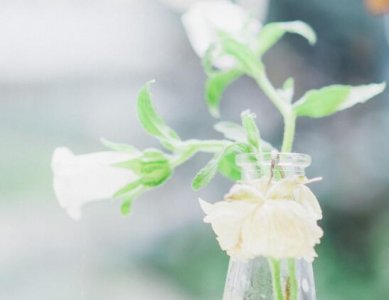 ​吃甜品的心情语录