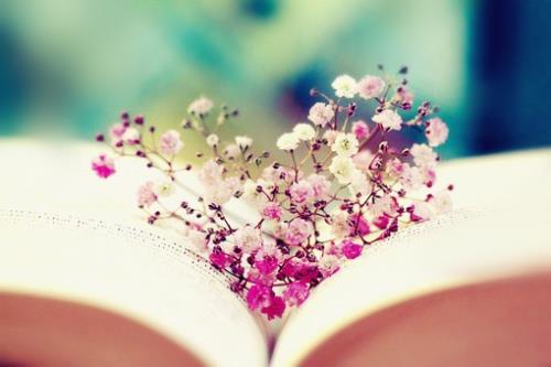 你最喜欢的爱情格言是什么