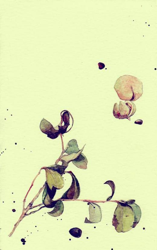 微信励志背景图片大全