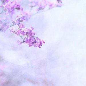 ​新年上班朋友圈说说[30条] (新年励志说说微信)