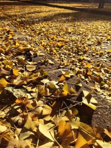 ​痛彻心扉的句子（表示心情难过的句子）